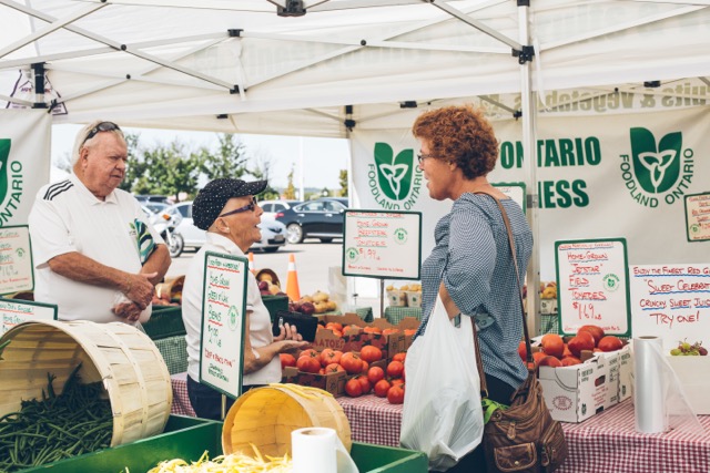 Shopping at a local farmers market
